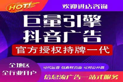 深入解析SEM账户竞价运营成功案例